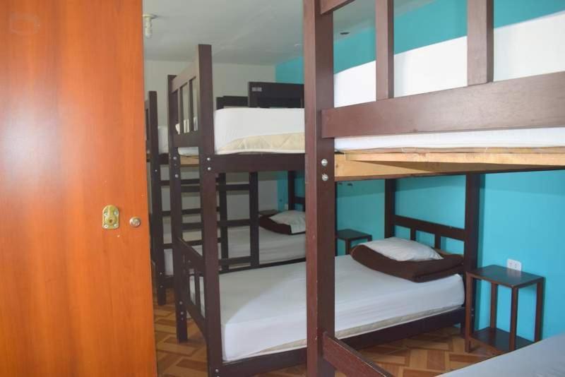 망고 호스텔 B&B 아레키파 외부 사진