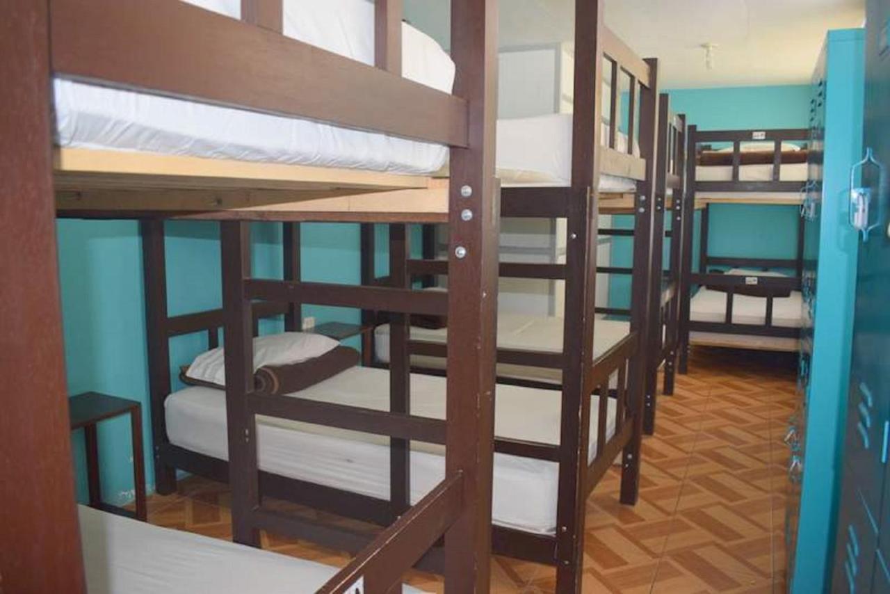 망고 호스텔 B&B 아레키파 외부 사진